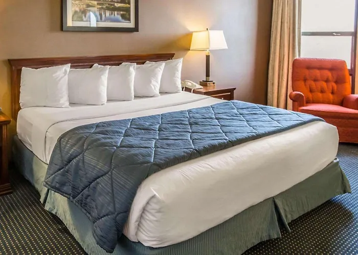 Quality - Chicago Near The Mall Inn 4*