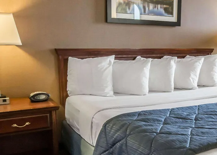 Inn Quality - Chicago Near The Mall 4*