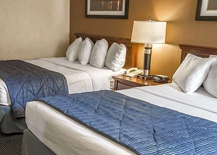 Inn Quality - Chicago Near The Mall Schaumburg