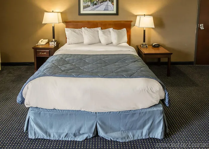 Quality - Chicago Near The Mall Inn Schaumburg